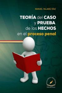 teoria-del-caso-y-prueba